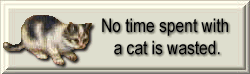 cat.gif